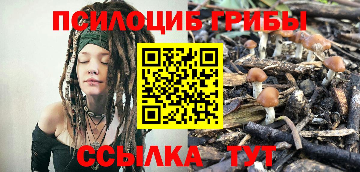 Острогожск  Псилоцибиновые грибы Psilocybe  Псилоцибиновые грибы мухоморы  Вход с VPN 
